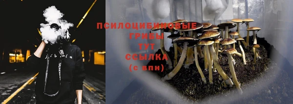 MESCALINE Михайлов
